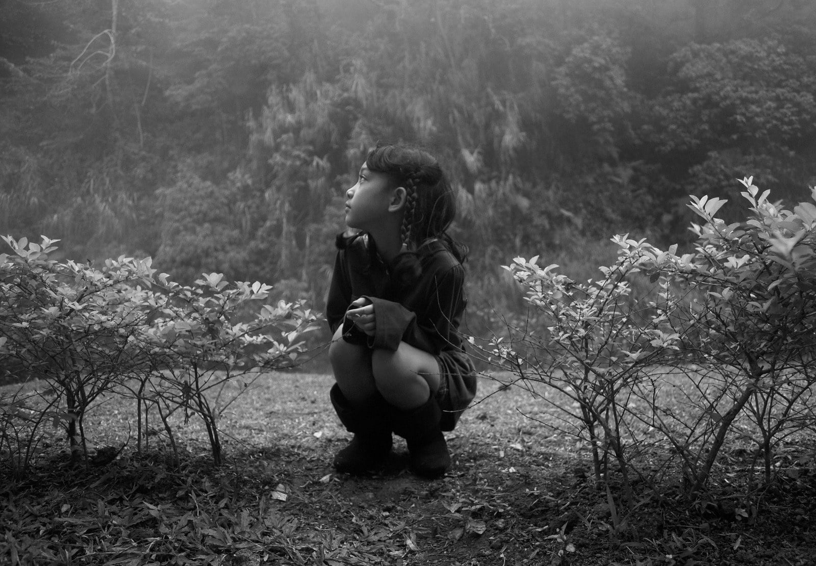 NEW ZEALAND: In Praise of Bad Examples