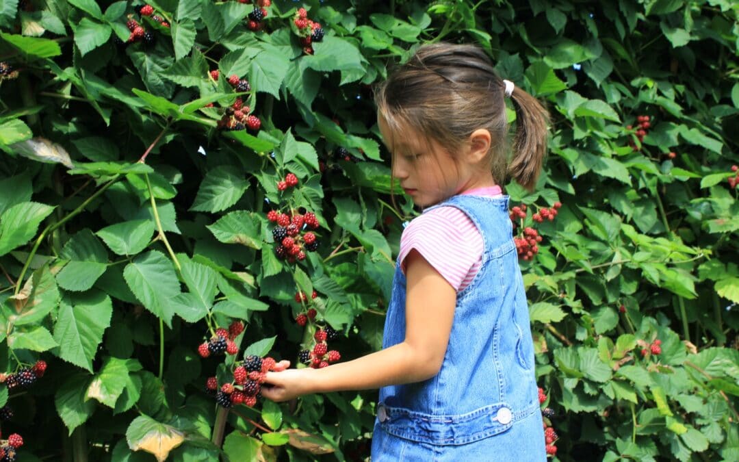 Sometimes the Weeds Are a Good Place to Be