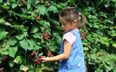 Sometimes the Weeds Are a Good Place to Be