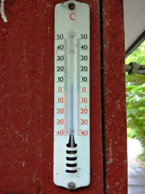 A thermometer at a stall in the path