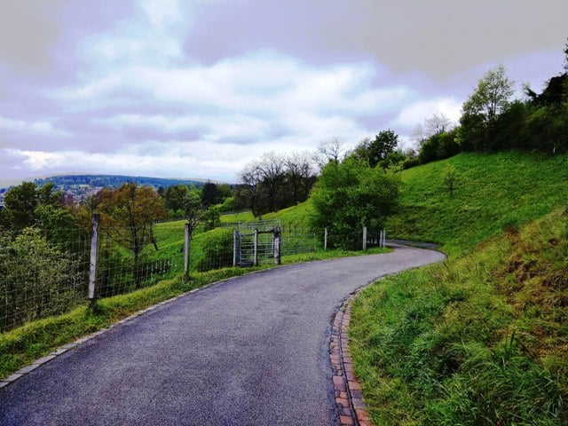 Nature beckoning us on ...