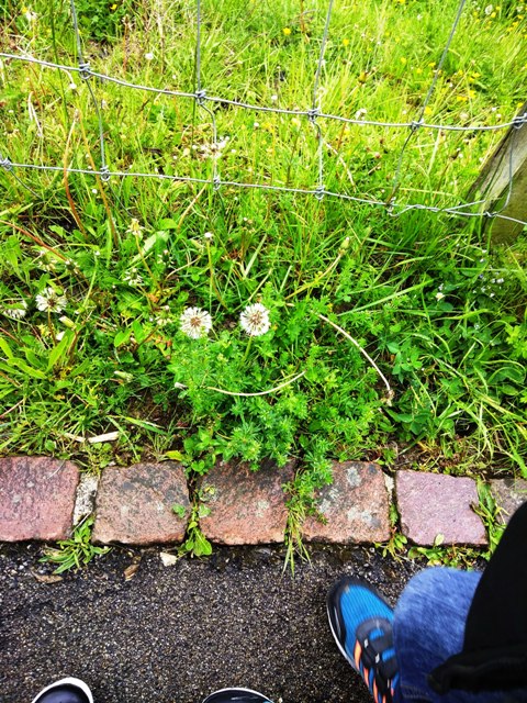 "Look ma, nature is smiling at us. You have to too."