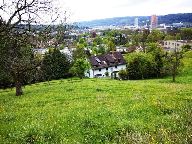 Nature assaulting us with her bounty