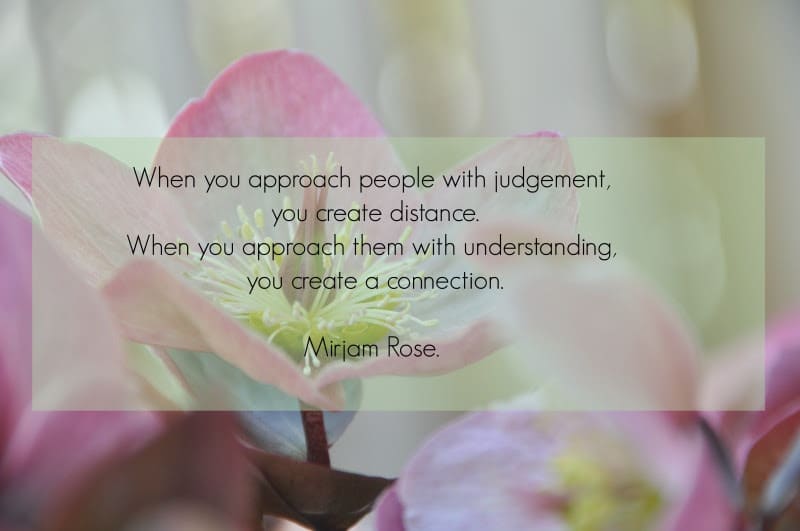 NETHERLANDS: Looking beyond behavior